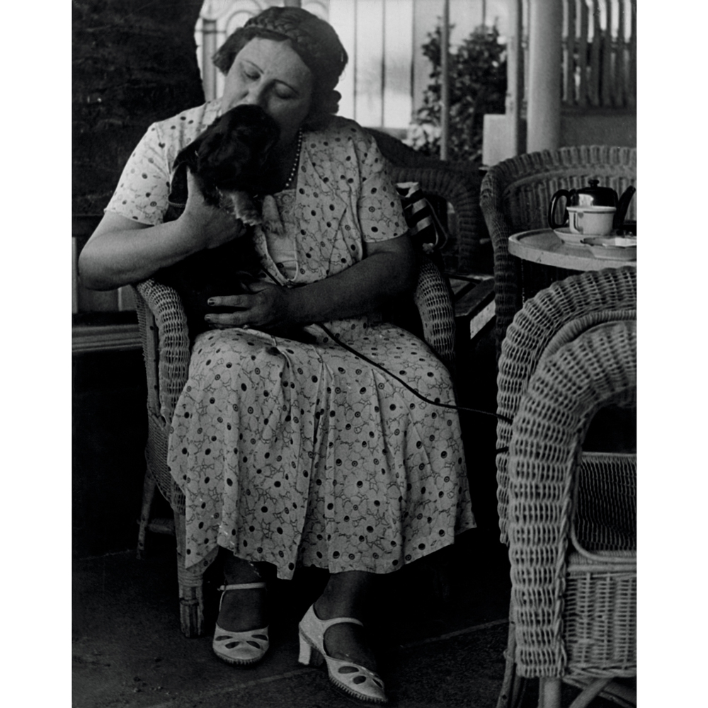 Image publication